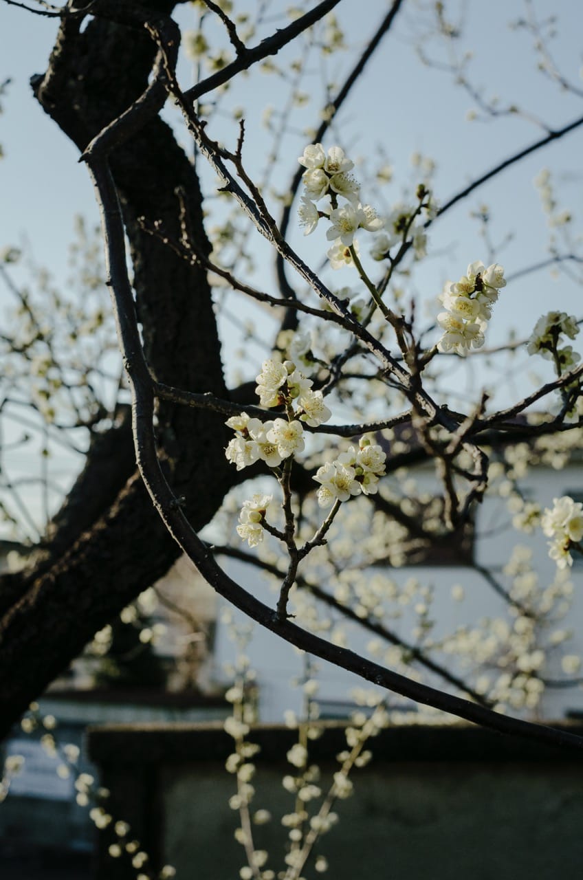 Превью Tokyo 2024